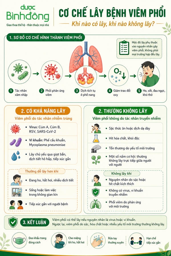 Infographic cho thấy cơ chế hình thành viêm phổi