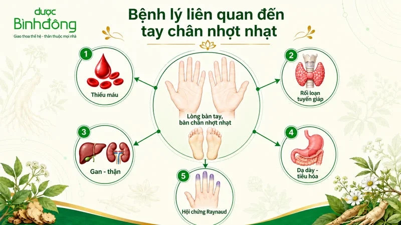 Infographic tay chân nhợt nhạt với 5 nguyên nhân
