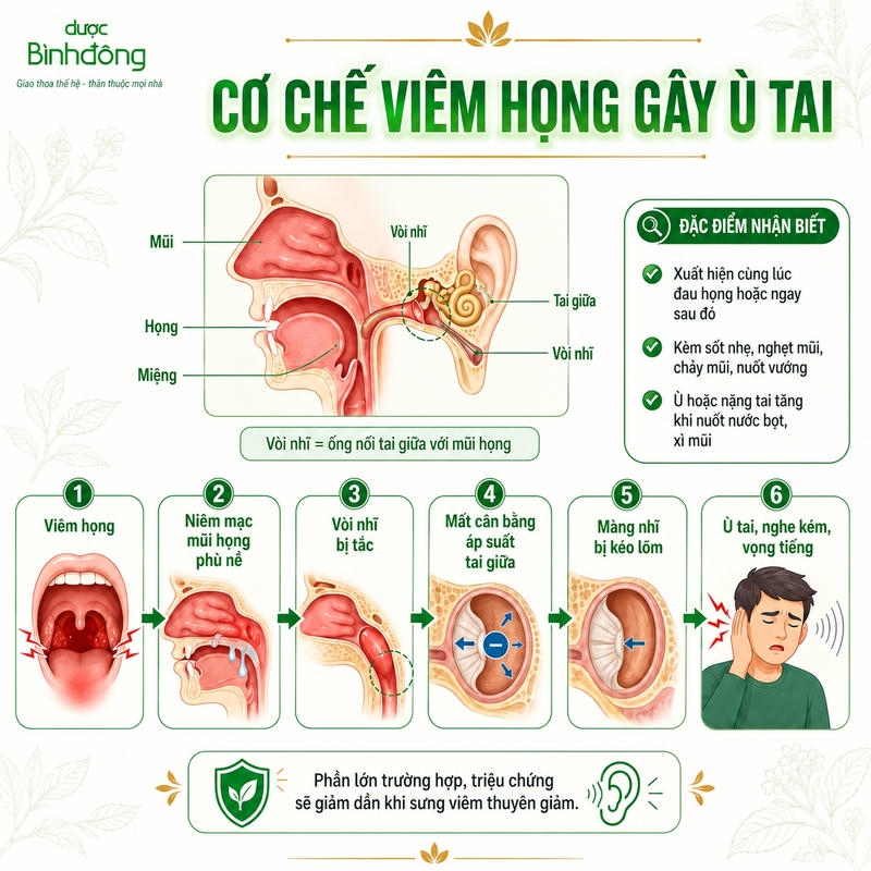 Cơ chế hình thành ù tai từ viêm họng