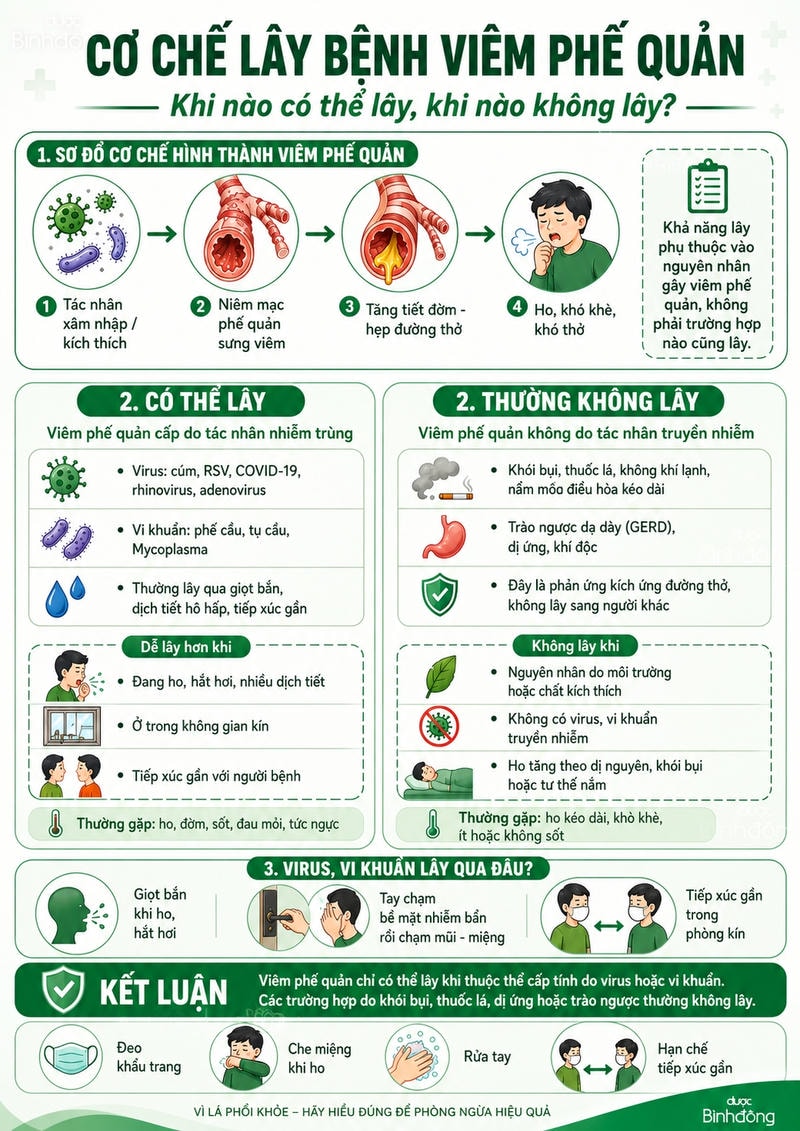 infographic cơ chế hình thành viêm phế quản và quá trình lây bệnh