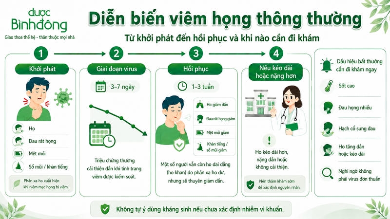 Infographic diễn biến viêm họng cho thấy triệu chứng giảm dần, còn kéo dài hoặc nặng hơn cần đi khám.