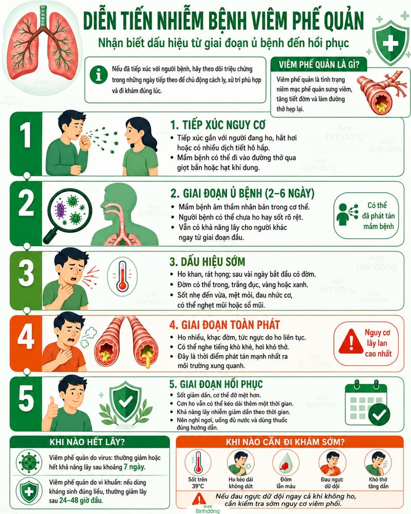 infographic diễn tiến bệnh viêm phế quản