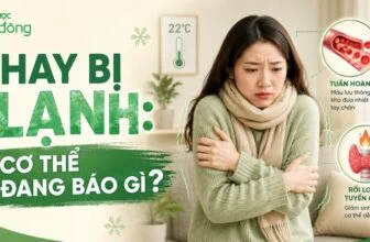 Thumbnail minh họa người hay bị lạnh trong phòng 22°C, kèm tuần hoàn kém và rối loạn tuyến giáp.