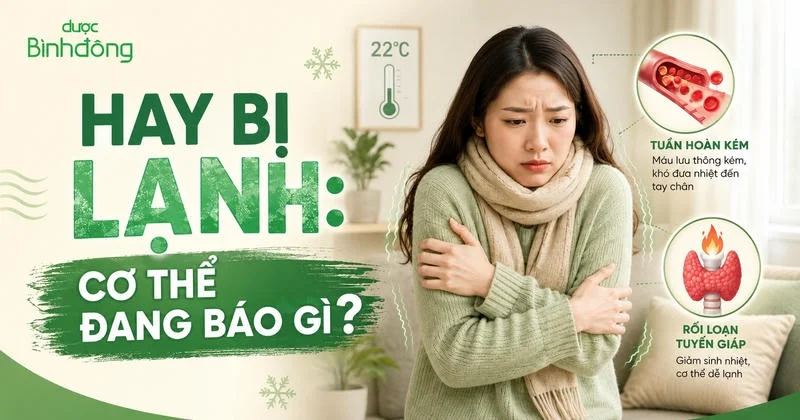 Thumbnail minh họa người hay bị lạnh trong phòng 22°C, kèm tuần hoàn kém và rối loạn tuyến giáp.
