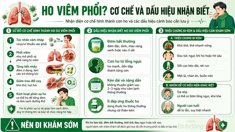 Infographic minh họa hoa viêm phổi