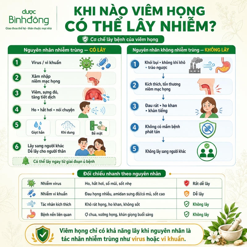 Infographic minh họa khin ào lây do viêm họng