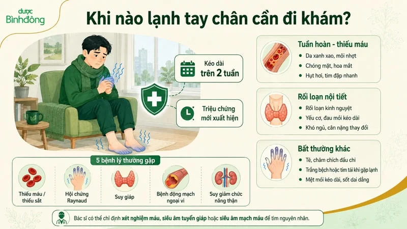 Infographic tổng hợp dấu hiệu cần đi khám và năm bệnh lý thường gặp khi lạnh tay chân kéo dài.