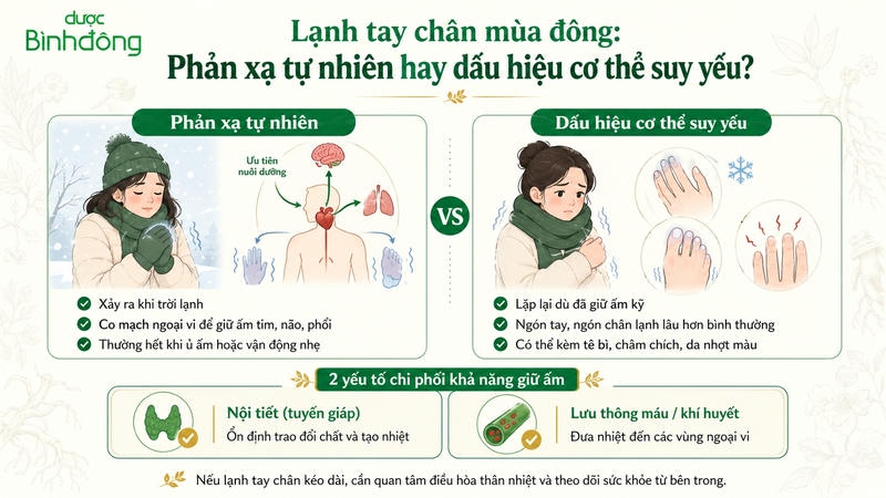 Lanh tay chan vào mua đông sinh lý hay bệnh lý