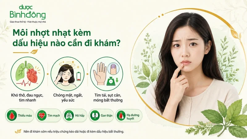 Infographic môi nhợt nhạt trình bày ba nhóm dấu hiệu cần đi khám và năm nhóm bệnh liên quan.