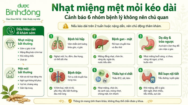 Infographic nhạt miệng mệt mỏi kéo dài gồm dấu hiệu cần khám sớm và sáu nhóm bệnh lý liên quan.