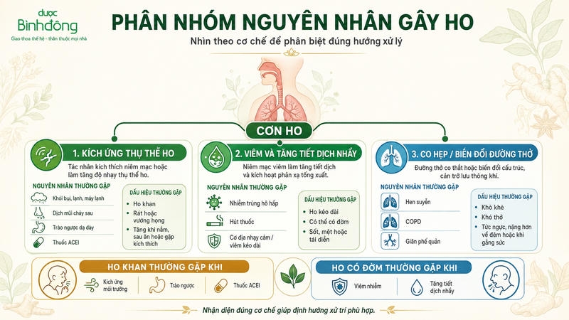 Nhóm bệnh lý theo cơ chế hình thành cơn ho