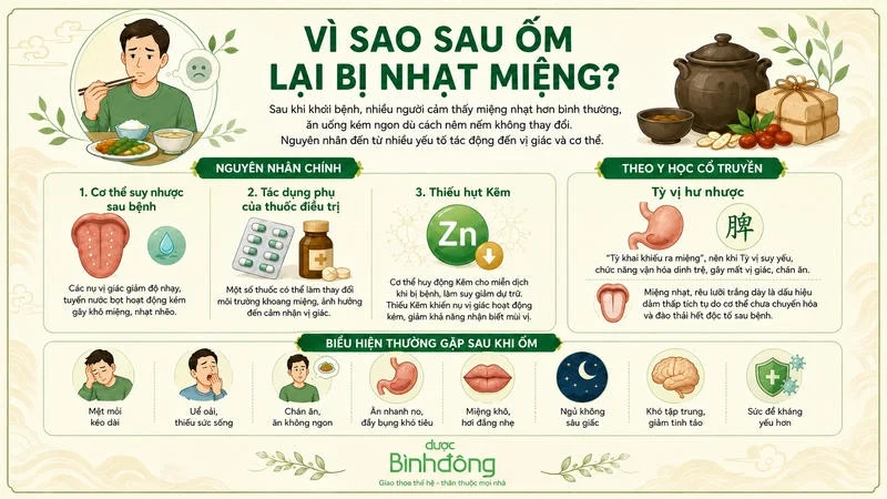 Infographic nhạt miệng sau ốm trình bày ba nguyên nhân, lý giải Đông y và tám biểu hiện thường gặp.
