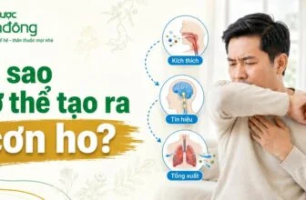 thumbnail cơ chế ho