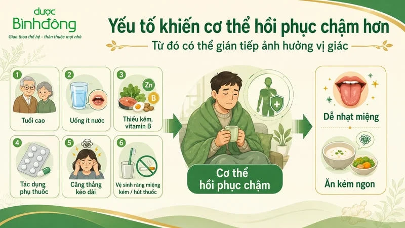 Infographic sáu yếu tố làm cơ thể hồi phục chậm, từ đó dễ nhạt miệng và ăn kém ngon.