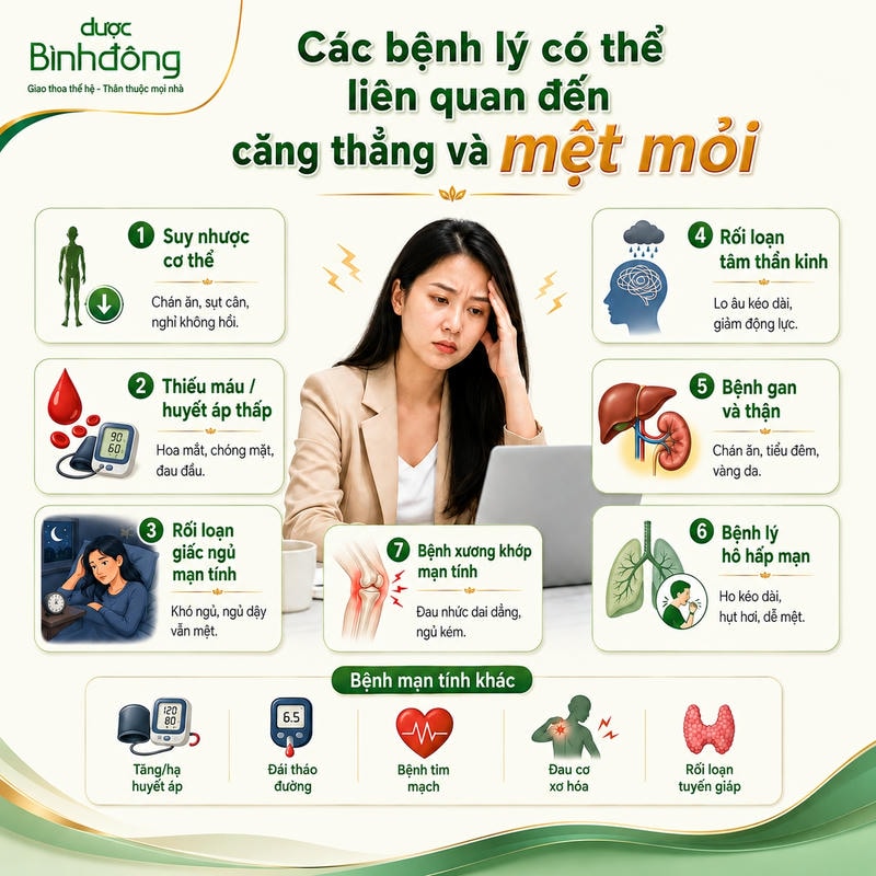 Infographic nhóm bệnh lý liên quan căng thẳng, mệt mỏi, gồm suy nhược, thiếu máu và rối loạn giấc ngủ.