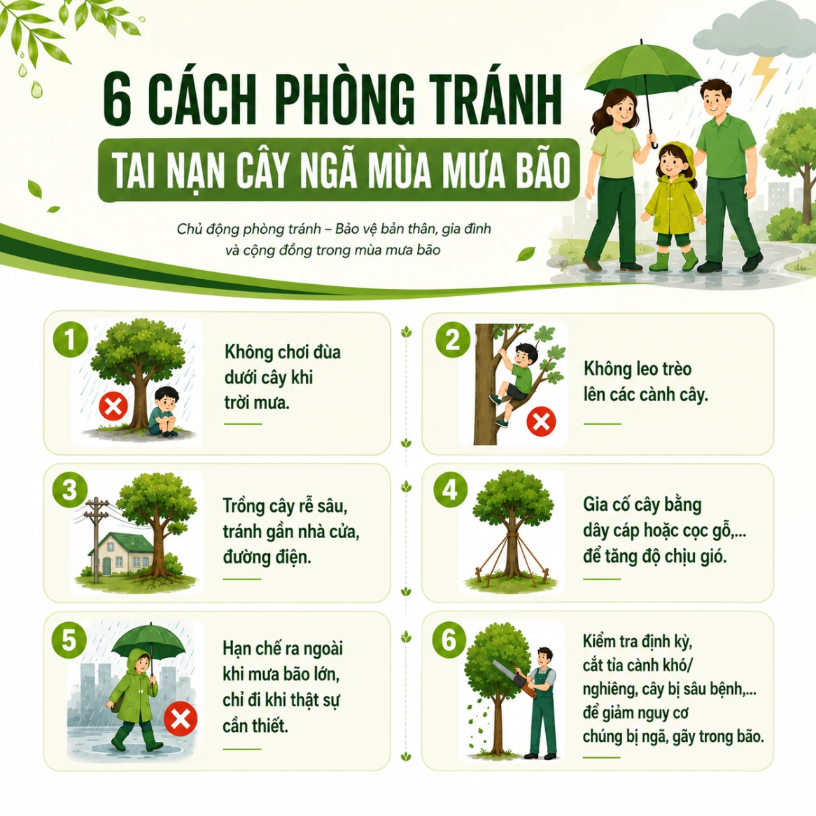 Tai nạn do cây ngã mùa mưa bão: Cảnh báo nguy cơ và phòng tránh