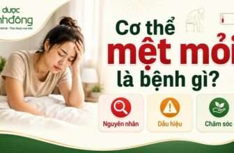 Thumbnail về cơ thể mệt mỏi gồm người uể oải và ba nhóm nguyên nhân, dấu hiệu, chăm sóc