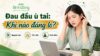 Người phụ nữ chạm thái dương và tai, biểu hiện đau đầu kèm ù tai. Thumbnail nêu ba nội dung: nguyên nhân, dấu hiệu và cách chăm