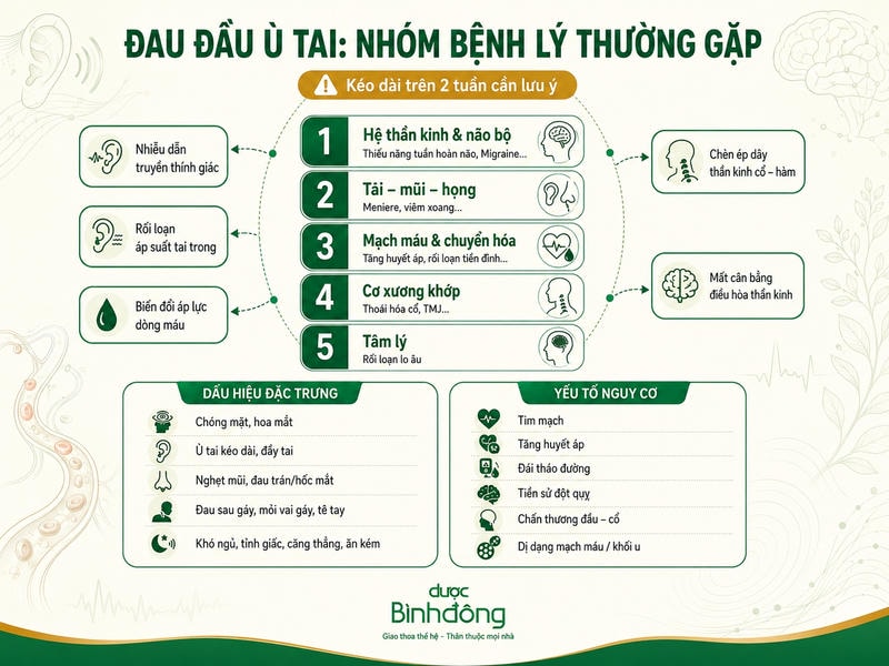 Infographic đau đầu ù tai tổng hợp năm nhóm bệnh lý, dấu hiệu đặc trưng và yếu tố nguy cơ.