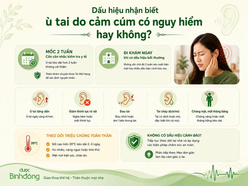tổng hợp mốc hai tuần và năm dấu hiệu cảnh báo ù tai do cảm cúm cần thăm khám.