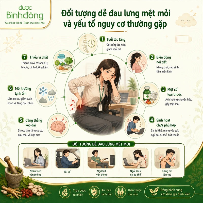 Infographic đau lưng mệt mỏi mô tả 7 yếu tố nguy cơ và 5 nhóm đối tượng dễ gặp tình trạng này.