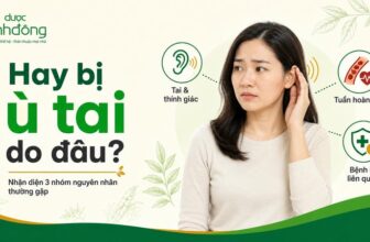 Người phụ nữ chạm tai, xung quanh là ba nhóm nguyên nhân gây ù tai