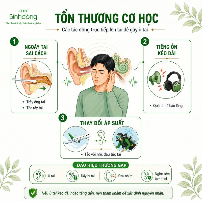 Về ba tác động cơ học gây ù tai: ngoáy tai, tiếng ồn và thay đổi áp suất.