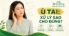 Người chạm nhẹ vào tai với các vòng sóng biểu thị ù tai, kèm ba mục nguyên nhân, dấu hiệu và cách chăm sóc.
