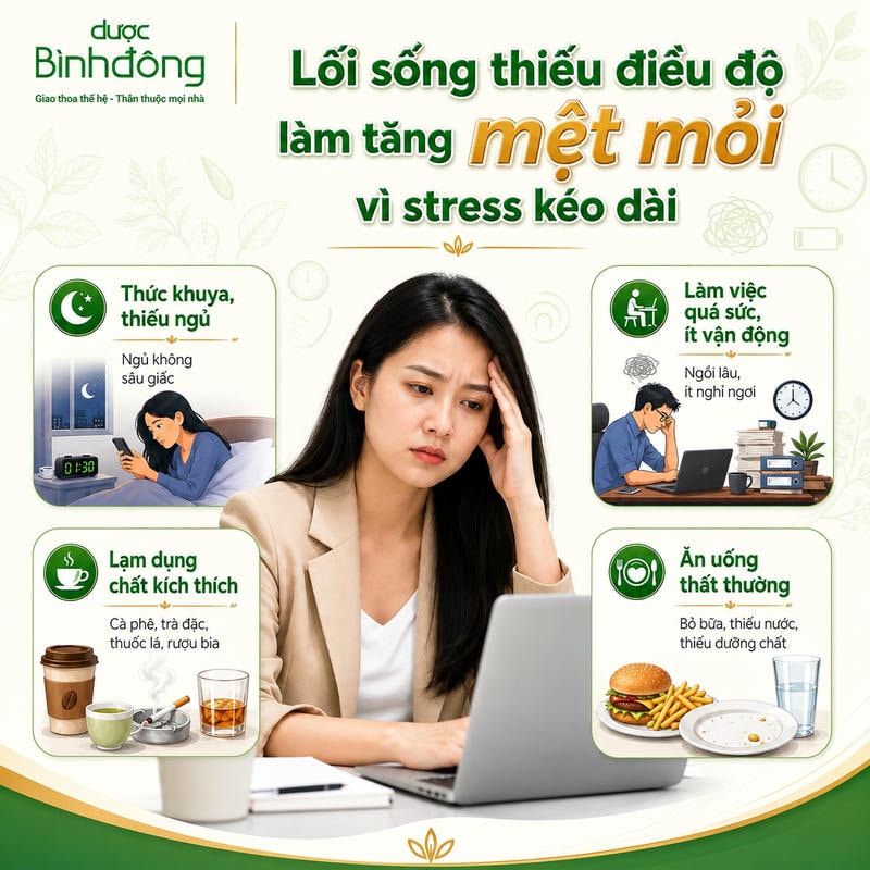 Infographic lối sống thiếu điều độ làm tăng mệt mỏi vì stress kéo dài, gồm thức khuya, quá sức, chất kích thích và ăn uống thất thường.