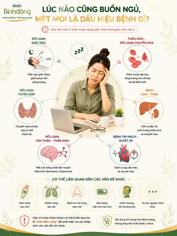 Infographic mệt mỏi buồn ngủ minh họa sáu nhóm bệnh lý thường gặp và các vấn đề sức khỏe liên quan.