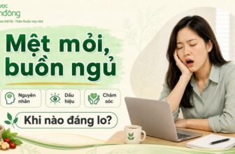 Người phụ nữ ngáp khi làm việc trước laptop, cạnh tiêu đề “Mệt mỏi, buồn ngủ”. Bên dưới có Nguyên nhân, Dấu hiệu, Chăm sóc và “Khi nào đáng lo?”.