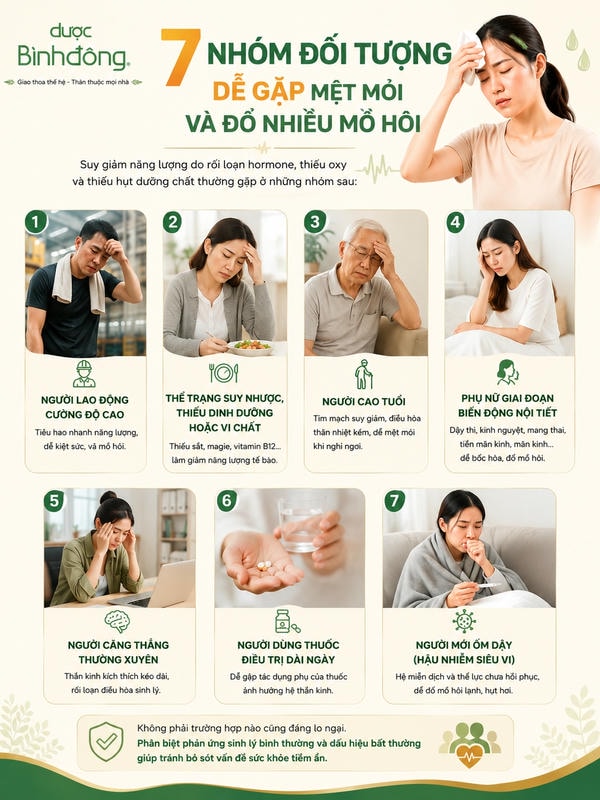 Infographic tổng hợp 7 nhóm đối tượng dễ gặp mệt mỏi và đổ nhiều mồ hôi theo thể trạng, sinh lý và yếu tố tác động.