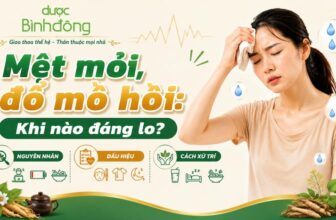 Infographic mệt mỏi, đổ mồ hôi gồm ba nhóm: nguyên nhân, dấu hiệu và cách xử trí.
