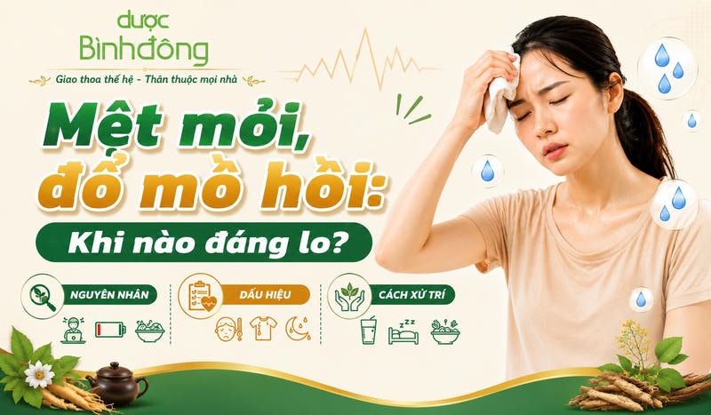 Infographic mệt mỏi, đổ mồ hôi gồm ba nhóm: nguyên nhân, dấu hiệu và cách xử trí.