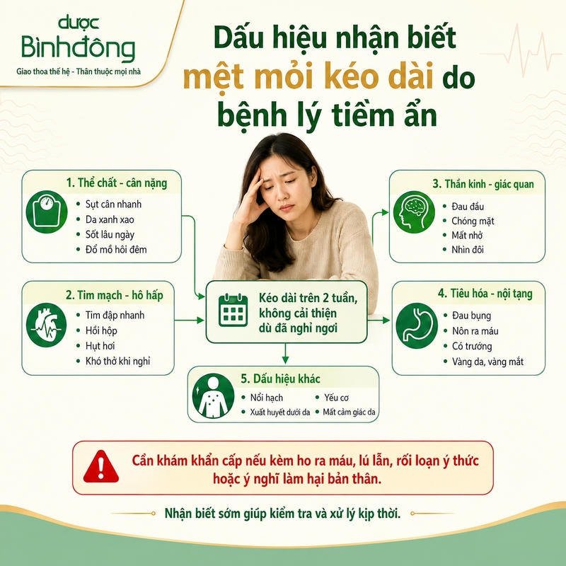 Sơ đồ mệt mỏi kéo dài với năm nhóm dấu hiệu cần theo dõi sau hai tuần không cải thiện