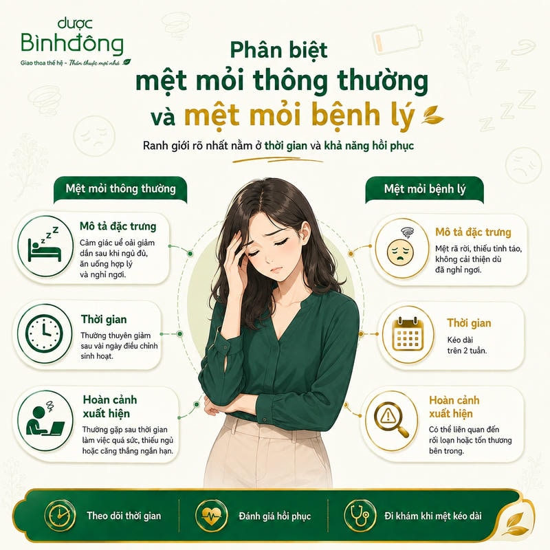 Infographic phân biệt mệt mỏi thông thường và bệnh lý theo thời gian, khả năng hồi phục và hoàn cảnh