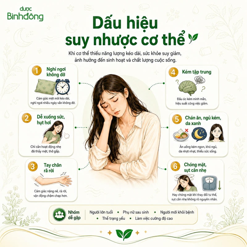 Sơ đồ dấu hiệu suy nhược cơ thể gồm sáu biểu hiện thường gặp và các nhóm người dễ gặp tình trạng này.
