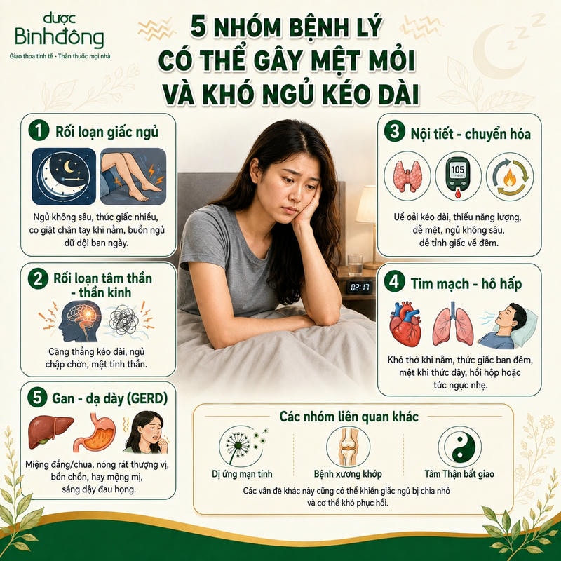 Infographic minh họa 5 nhóm bệnh lý có thể gây mệt mỏi, khó ngủ và các nhóm liên quan khác.