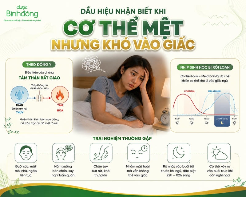Infographic minh họa rối loạn nhịp sinh học, Tâm Thận bất giao và các dấu hiệu mệt nhưng khó ngủ.