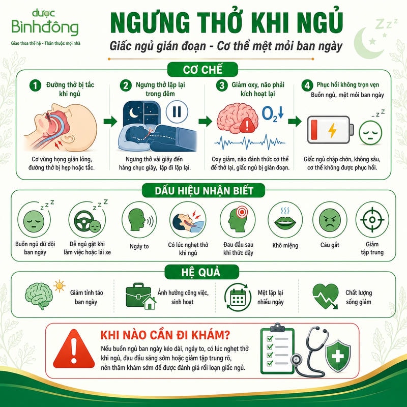 Sơ đồ ngưng thở khi ngủ cho thấy tắc đường thở gây giảm oxy và mệt mỏi ban ngày.