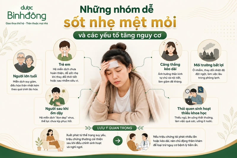 Infographic minh họa nhóm dễ sốt nhẹ mệt mỏi và các yếu tố làm tăng nguy cơ.
