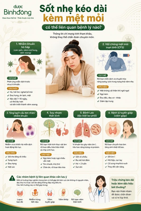 Infographic tổng hợp sáu nhóm bệnh lý có thể liên quan đến sốt nhẹ kéo dài kèm mệt mỏi.