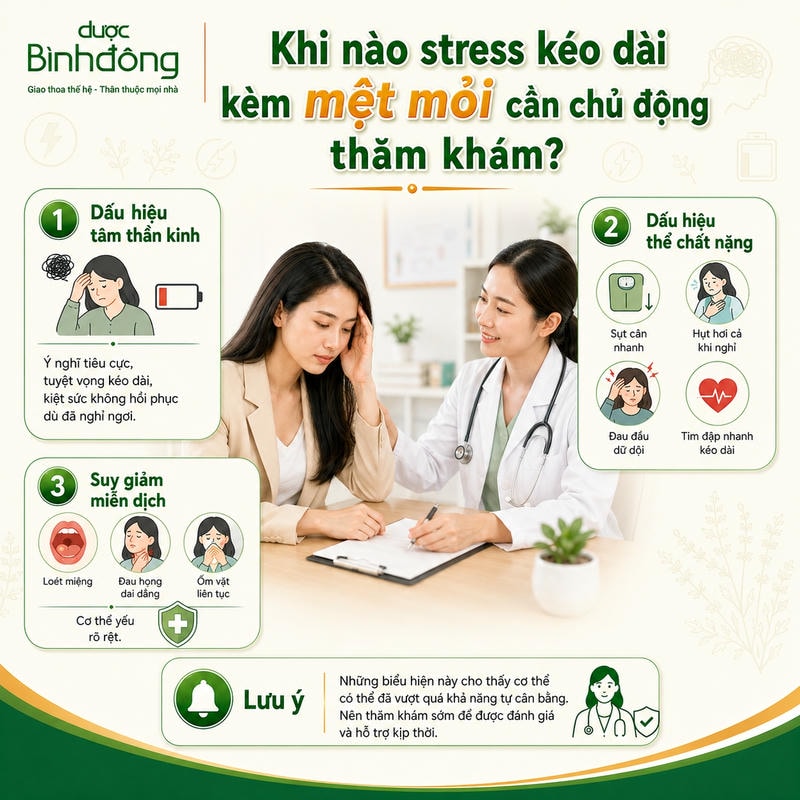 Infographic ba nhóm dấu hiệu cần thăm khám khi stress kéo dài kèm mệt mỏi: tâm thần kinh, thể chất nặng và suy giảm miễn dịch.