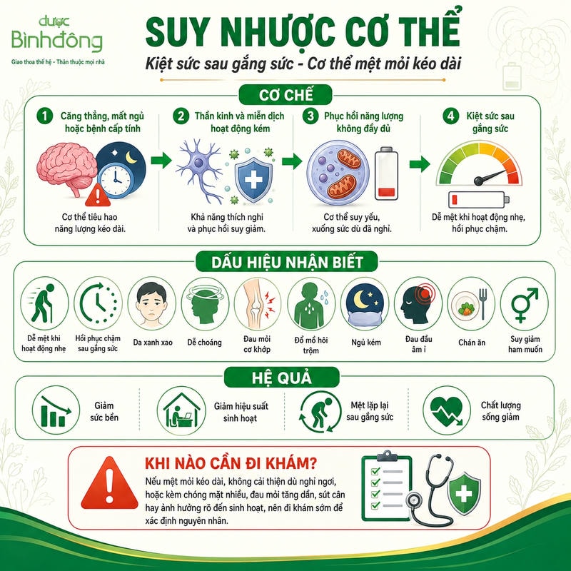 Sơ đồ suy nhược cơ thể cho thấy căng thẳng, mất ngủ và suy giảm phục hồi dẫn đến kiệt sức sau gắng sức.