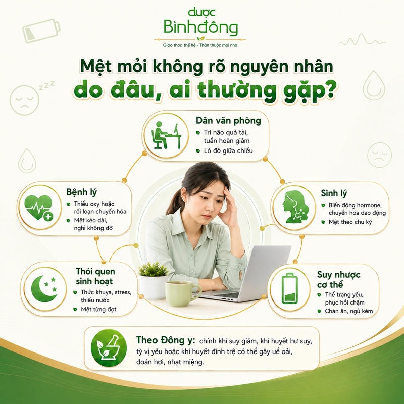 Infographic mệt mỏi không rõ nguyên nhân gồm năm nhóm: văn phòng, sinh lý, bệnh lý, suy nhược và sinh hoạt