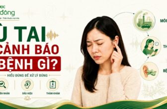 Thumbnail về ù tai với phụ nữ ôm tai, ba nhóm tác nhân môi trường, thói quen và bệnh lý.