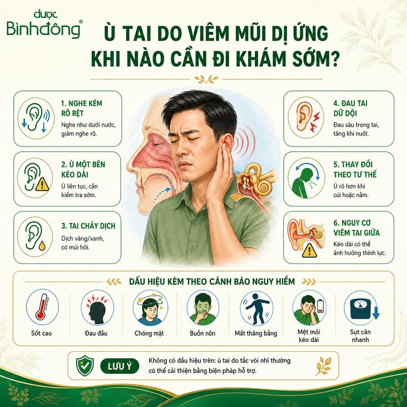 Infographic cảnh báo ù tai do viêm mũi dị ứng với sáu dấu hiệu cần đi khám sớm.