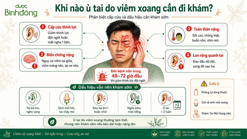 Infographic ù tai do viêm xoang cần đi khám, nhấn mạnh giảm thính lực đột ngột cần cấp cứu