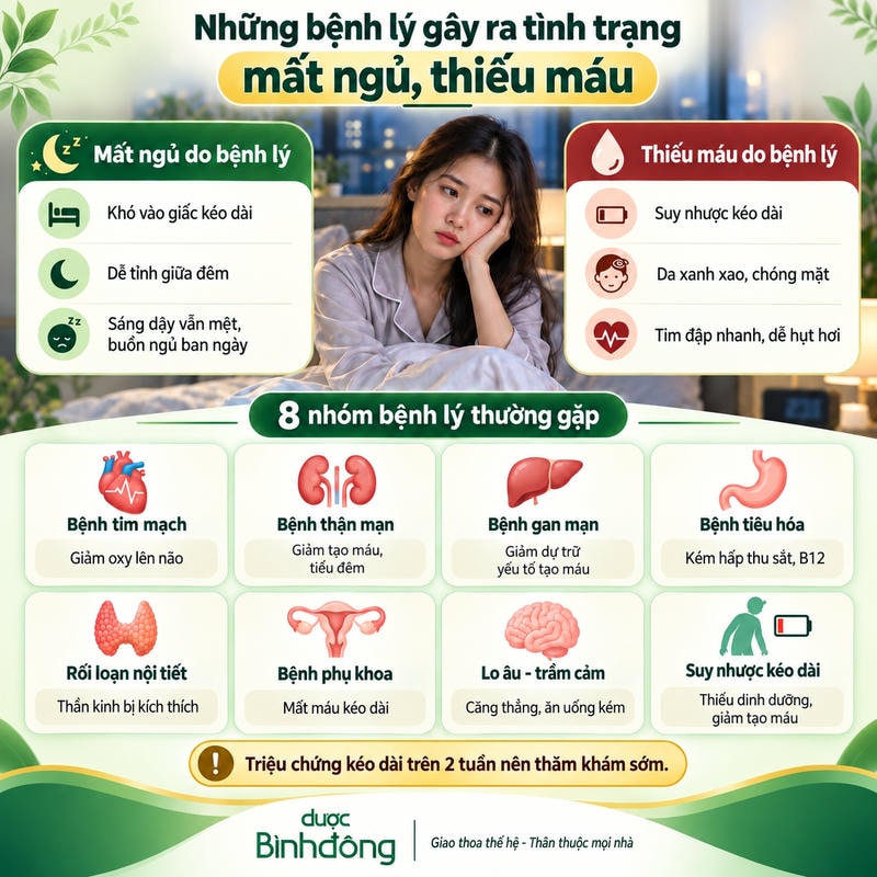 Infographic nêu 8 nhóm bệnh lý gây mất ngủ kèm thiếu máu và các dấu hiệu cần theo dõi.