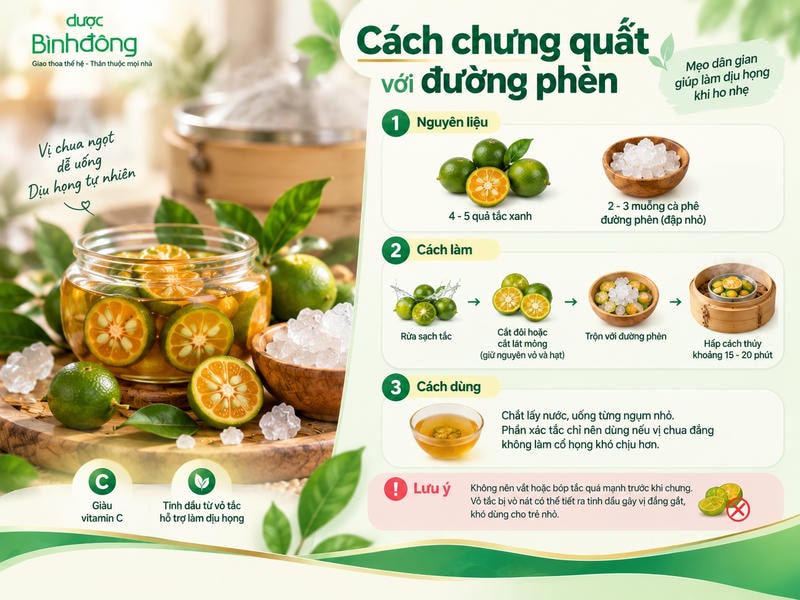 Infographic hướng dẫn chưng quất với đường phèn qua các bước rửa, cắt, trộn đường và hấp cách thủy.
